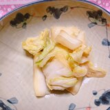ヨーグルト味噌の白菜漬け(赤味噌・塩あり)